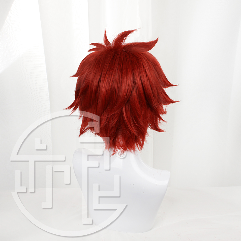 Аниме SK8 The Infinity Reki, п – обзор и цена Anime Cosplay Red Hair