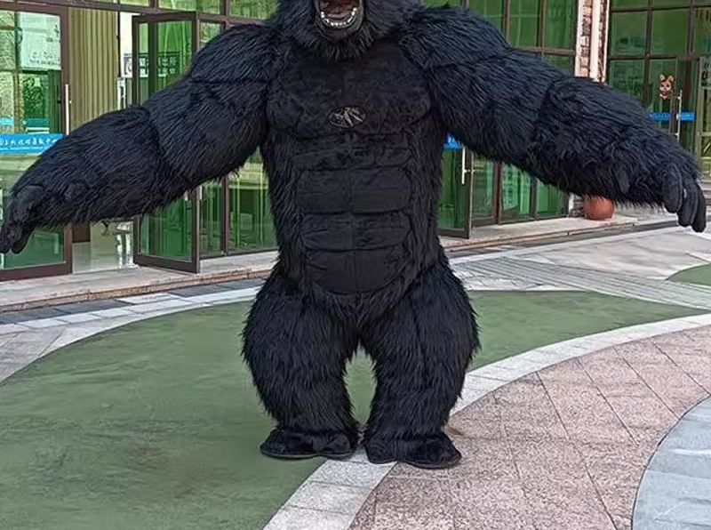 Надувной костюм гориллы в реал – обзор и цена Anime Cosplay Real Life