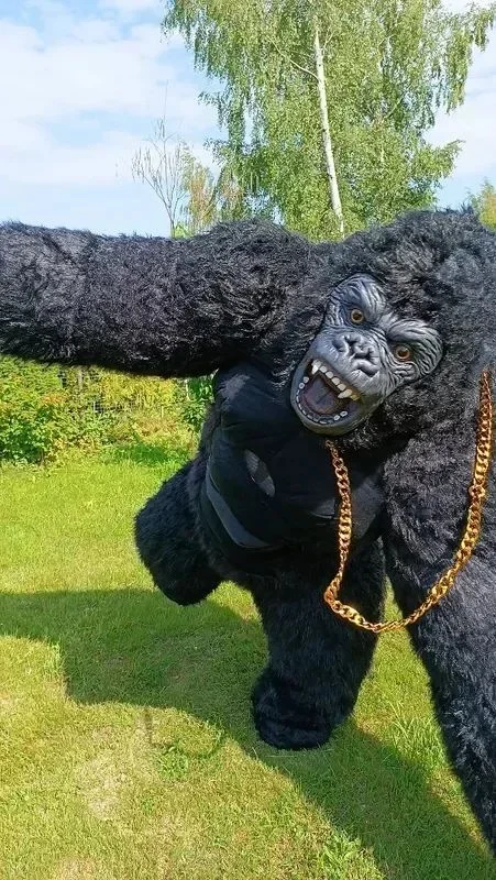 Рождественский надувной костюм – обзор и цена Anime Cosplay Real Life