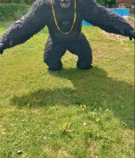 Надувной костюм гориллы в реал – обзор и цена Anime Cosplay Real Life